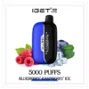 Blueberry Raspberry Ice - IGET Moon 5000 Puffs | New Arrival